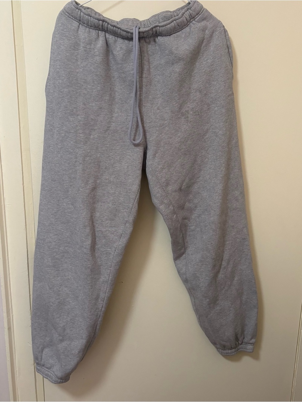 Aritzia Cozy Sweat Fleece Mega Fit Joggers with Drawstring